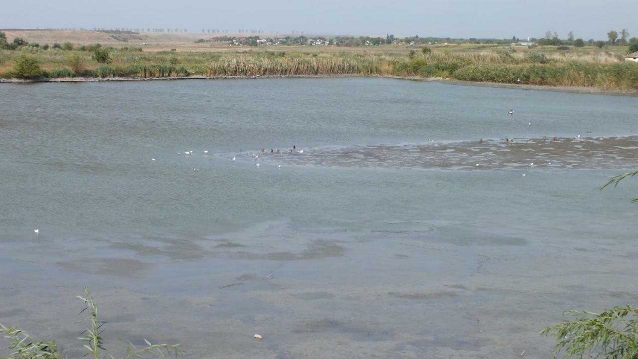 Vitanesti Hanul Cocosul מראה חיצוני תמונה